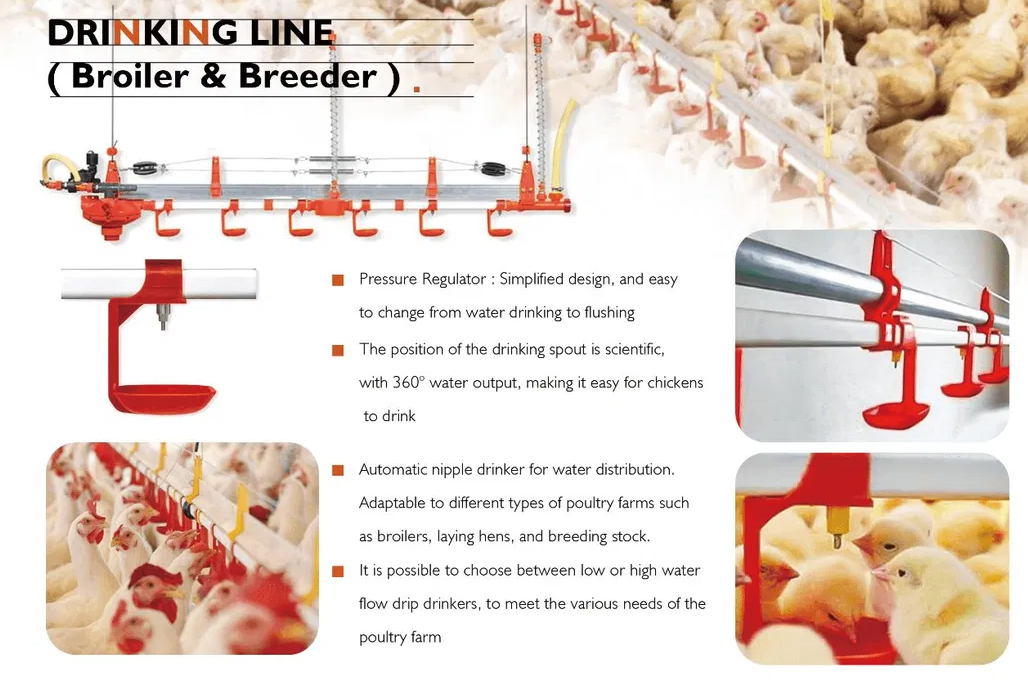 Broiler Farming Floor Raising System with Automatic Feeding Pans and Corrosion-Resistant Nipple Drinkers for Humidity Control