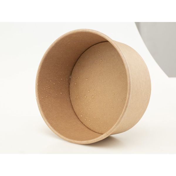 Sturdy Disposable Salad Bowls With Lids 16oz 500ml Waterproof