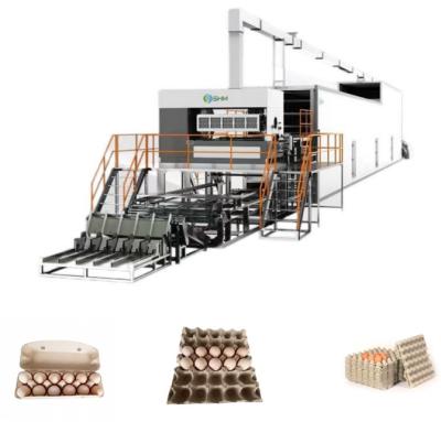 Best Pulp Paper Egg Tray Making Machine Pulp Container Manufacturing
