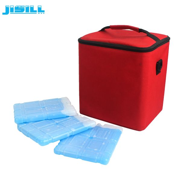 Reusable Rigid Plastic Food Grade Cooling Gel Ice Insulation Brick For Cold Chain Transport