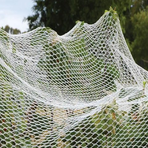With Knot HDPE  Anti Bird Netting Bird Catching For Fruit Trees