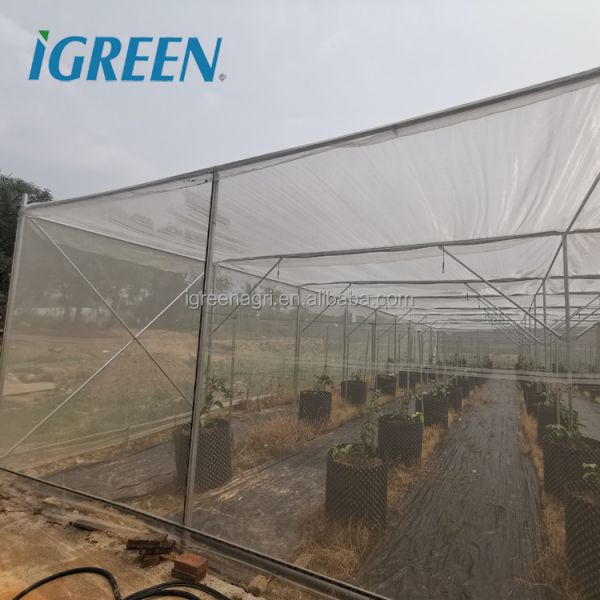 Large Multi-Span Agricultural Greenhouse Bird Net Shade Net Insect Net Farming Equipment