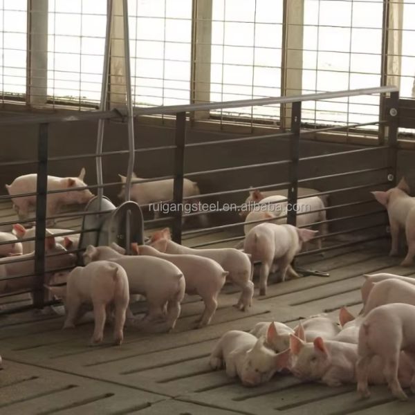 Rg-factory Wholesale Livestock Shelter Steel Prefab Cow Shed Prefabricated Pig House