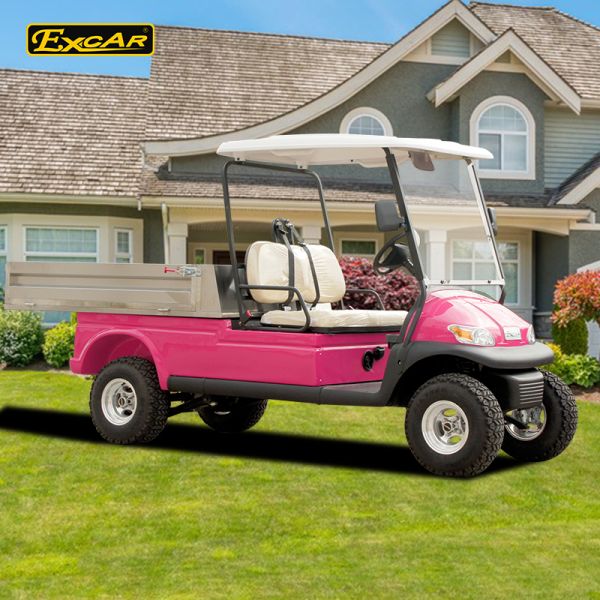 Contrôleur électrique 3700W de Curtis de véhicule de golf de batterie Trojan ouverte de cargaison de rose