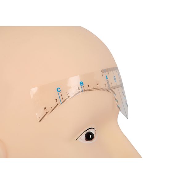 Face Deep Transparent Eyebrow Ruler Sticker for Eyebrows Shape Measurement