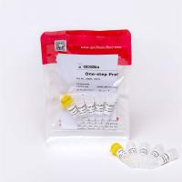 Transcription principale d'inverse d'ARN de GDSBio de mélange de l'étape droite QPCR de V5009 V5010 un et ACP quantitatif