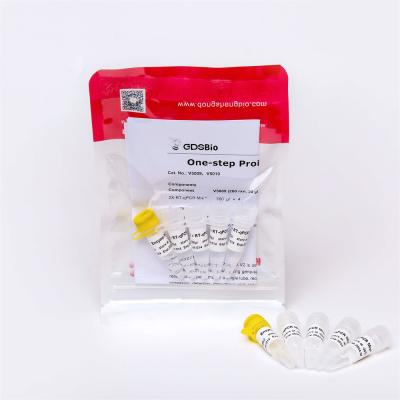 Transcrição mestra do reverso do RNA de GDSBio da mistura do RT QPCR da etapa de V5009 V5010 um e PCR quantitativo