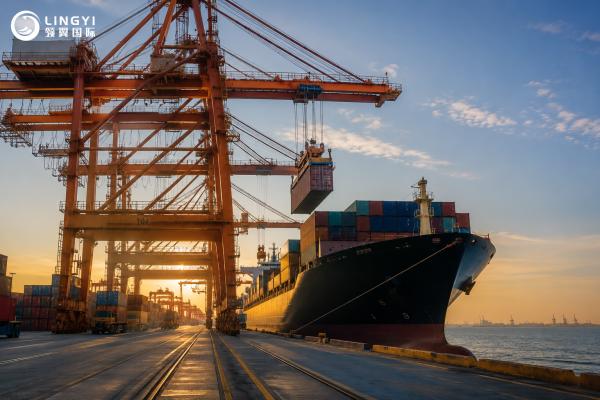 Full Container Load FCL Sea Freight Service from China to Canada with Competitive Rates
