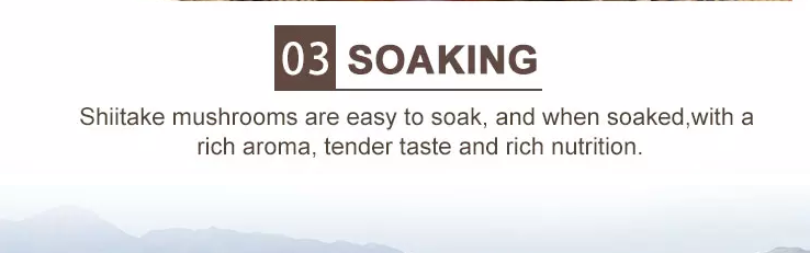 Культивирование Cubensis гриба шиитаке 4cm Брауна типичное очень вкусное сухое