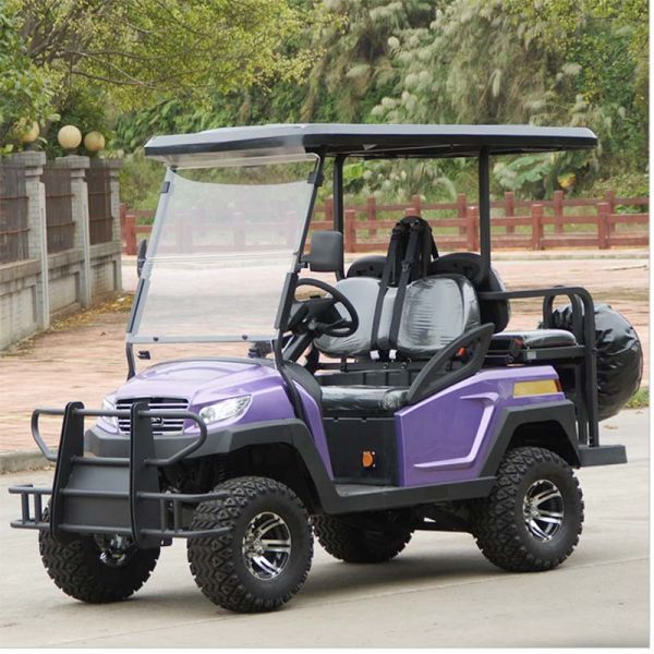 Electric Fuel 4 Wheel Four Person Golf Cart With Rear Seat , Purple Color