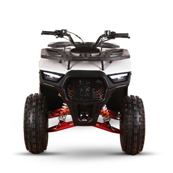 125cc 110cc 4 Stroke Mini Quad EPA Adult ATVs 4 Wheeler ATV for Kids/Teenager Buggy ATV