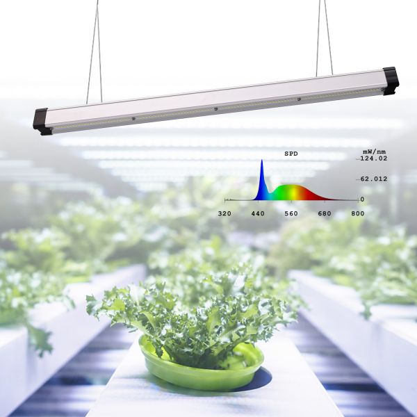 Horticulture Greenhouses LED Grow Light Bar Full Spectum LED Strips LM301B