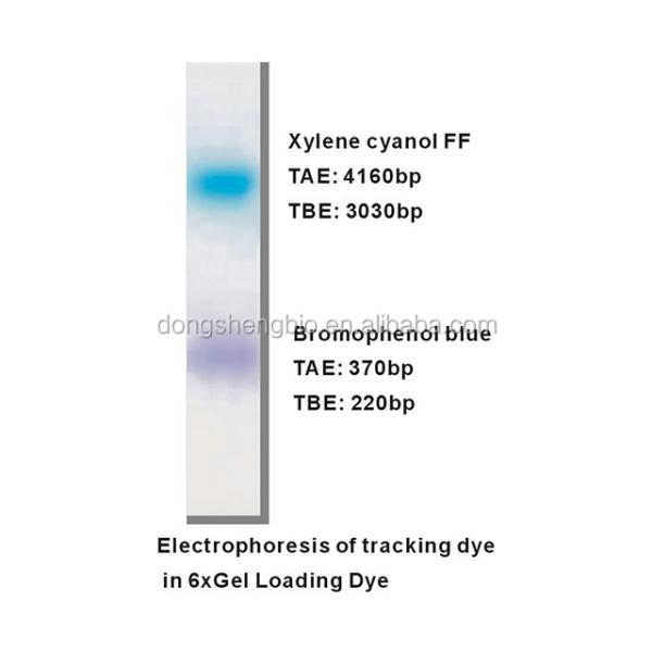 Two Color DNA Electrophoresis Buffer GDSBio Gel Electrophoresis Buffer