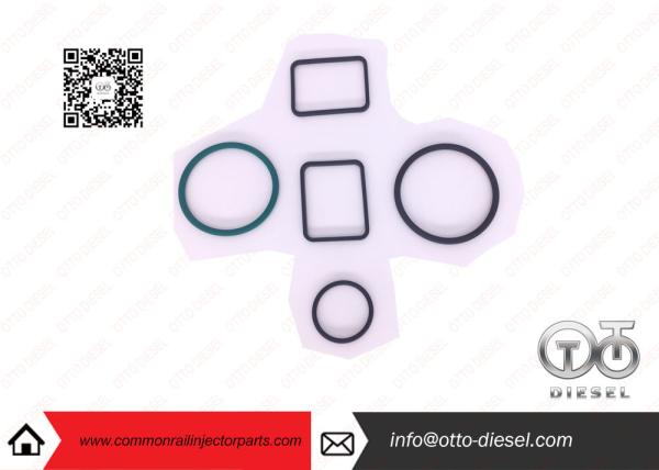 Bosch/phoque O - pompe de  d'unité d'injection de RING Repair Kits For Direct
