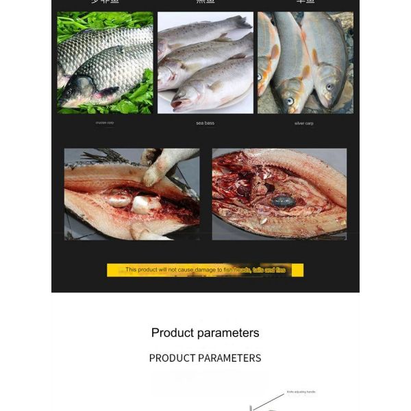 Fish Killing Machine for Commercial Continuous Automatic Gutting 304 Stainless Steel