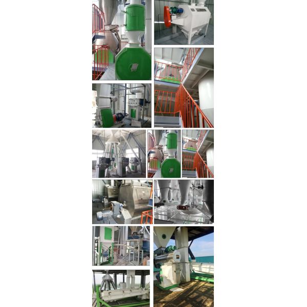 CE Approved Feed Pellet Production Line Poultry Food Processing Machine
