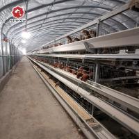 A gaiola da galinha da camada da exploração avícola galvanizou gaiolas de bateria longas da camada