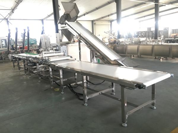 Les festins saccadés la ligne de expulsion d'aliments pour chiens