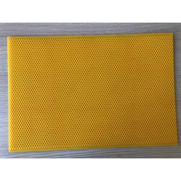 283mm Wide Plastic Foundation Sheet Bee Hive Kits Of Black And Yellow Color