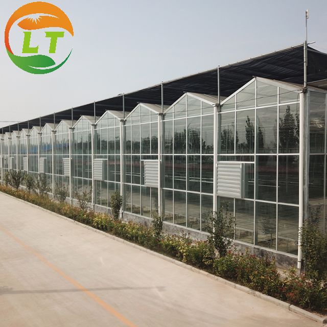 Многопролетная стеклянная тепличная сельскохозяйственная инструкция с супер сильной устойчивостью