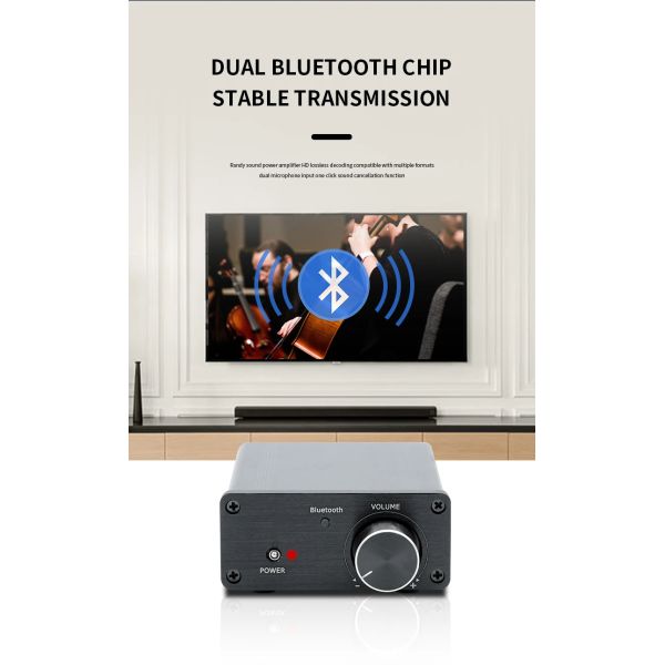 TPA3116 Digital Amplifier 100W Stereo HiFi Class D with Bluetooth 5.0 and Aluminum Alloy Housing
