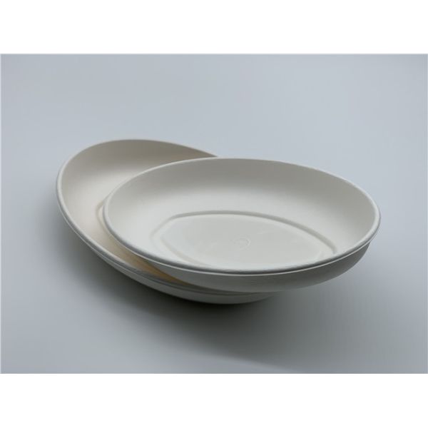 10/12 inch Biodegradable Sugarcane Bagasse Plates