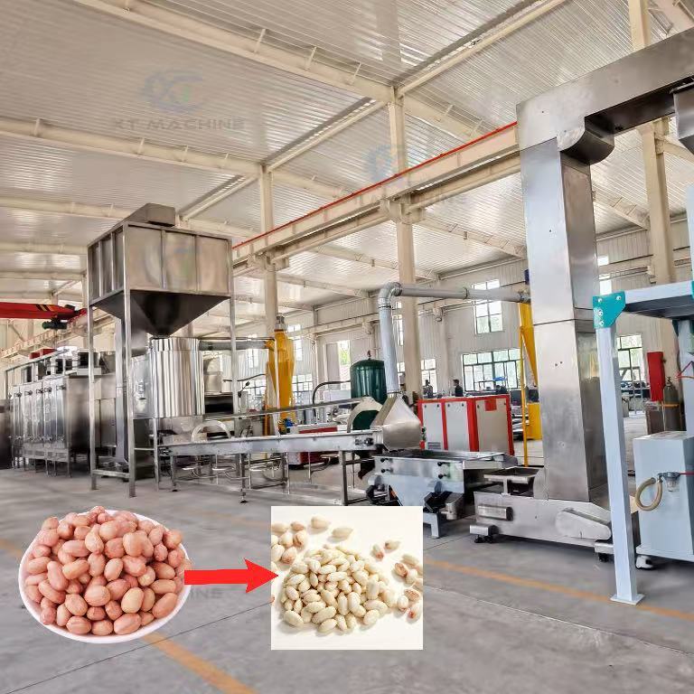 Intelligent Control Blanched Peanut Processing Line SUS304 Air Blanching Equipment for White Peanut Manufacturing