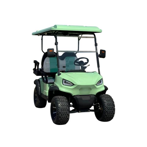 4 Seater Electric Golf Cart 2+2 Seat Luxury Home McPherson Suspension Factory Price Sale
