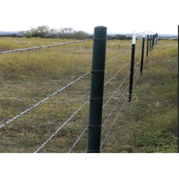 25kg 1.8mm 10x12 гальванизировало провод бритвы