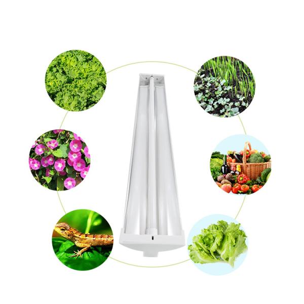 IP44 Hydroponics LED Grow Lights