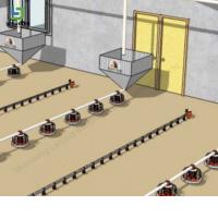 Custom Steel Structure Poultry House for Chicken Farming
