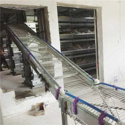 High Resistance Automatic Egg Collection System Modern Control Labor Saving