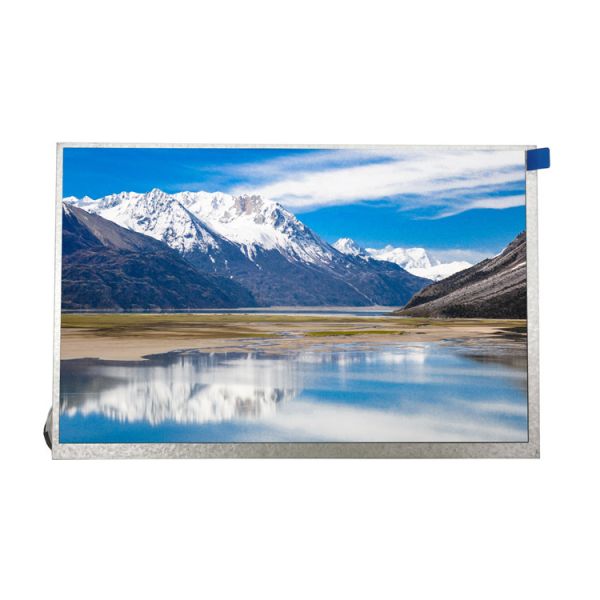 10.1 Inch 1280*800 40pins Lvds Interface IPS TFT LCD Panel