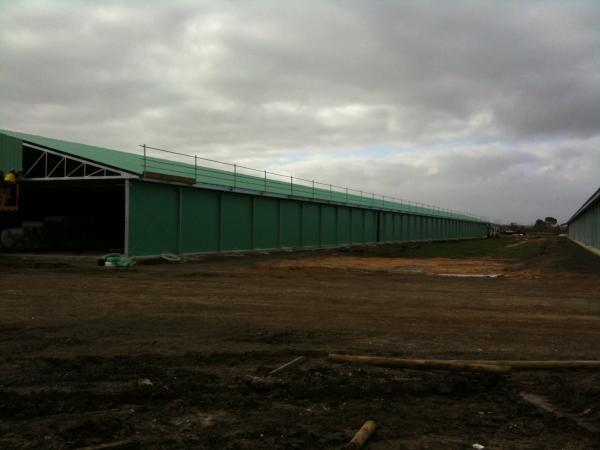 Galvanized Customized Steel Structured Buildings For Poultry Farms
