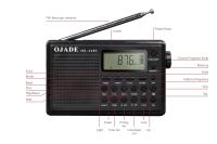 Radio numérique portable avec mémoire Bluetooth MW 20 canaux et affichage du temps