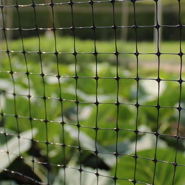Alta resistência à tração HDPE PP Plástico Biaxial Geogrid Negro para estabilização de rodovias