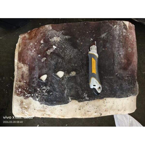 Frozen Giant Squid Meat 2-4kg/pc Skinless Membrane Off IQF Processed Dosidicus Gigas Squid Fillets
