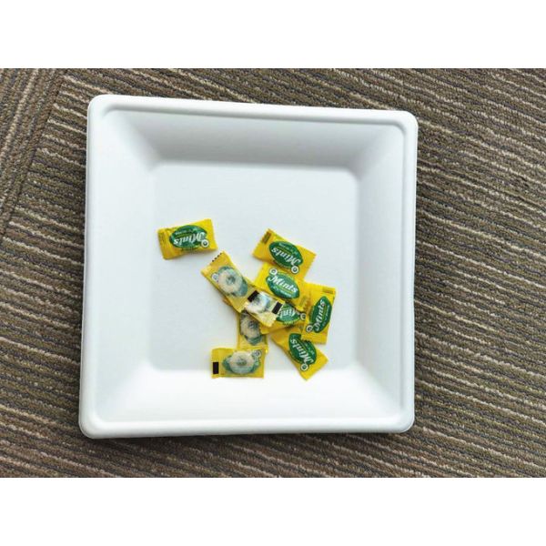 10 Inch 30g Kitchen Dinnerware Bio Food Packaging