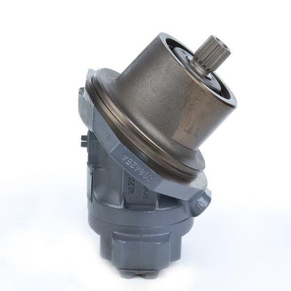 A2fe160 レックスロスのための鋳鉄水力ピストンモーター