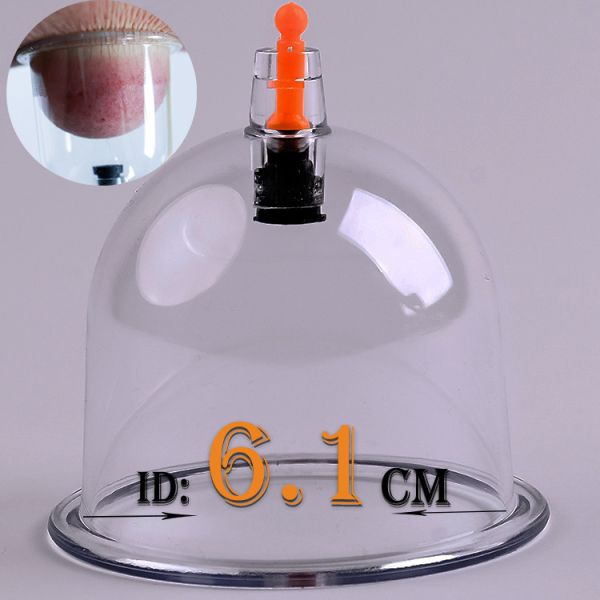 Y1 Professional AS/ABS Ventouse Hijama Cups 8 Cups for Chinese Medicine Apparatus