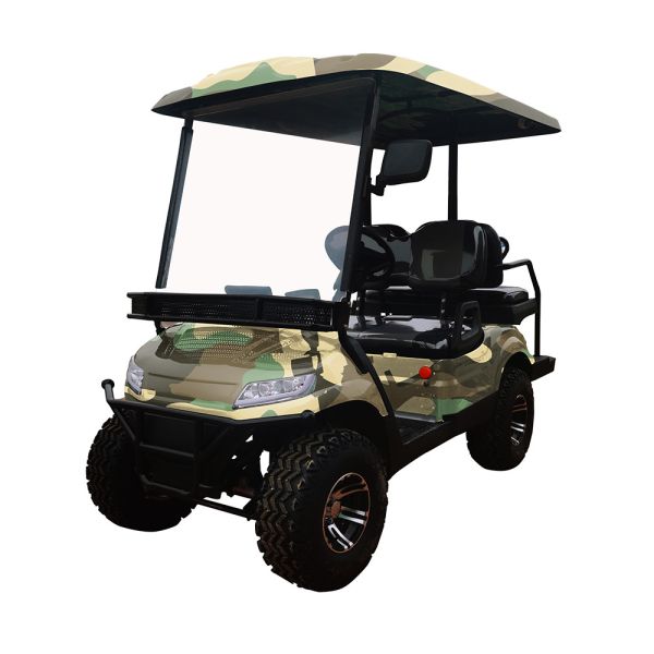 2023 Golf Cart Advanced EV 72 Volt Electric Independent Suspension ODM