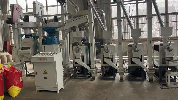 European standard quality 1500-2000 kg per hour mini auto ctnm15b rice mill machine