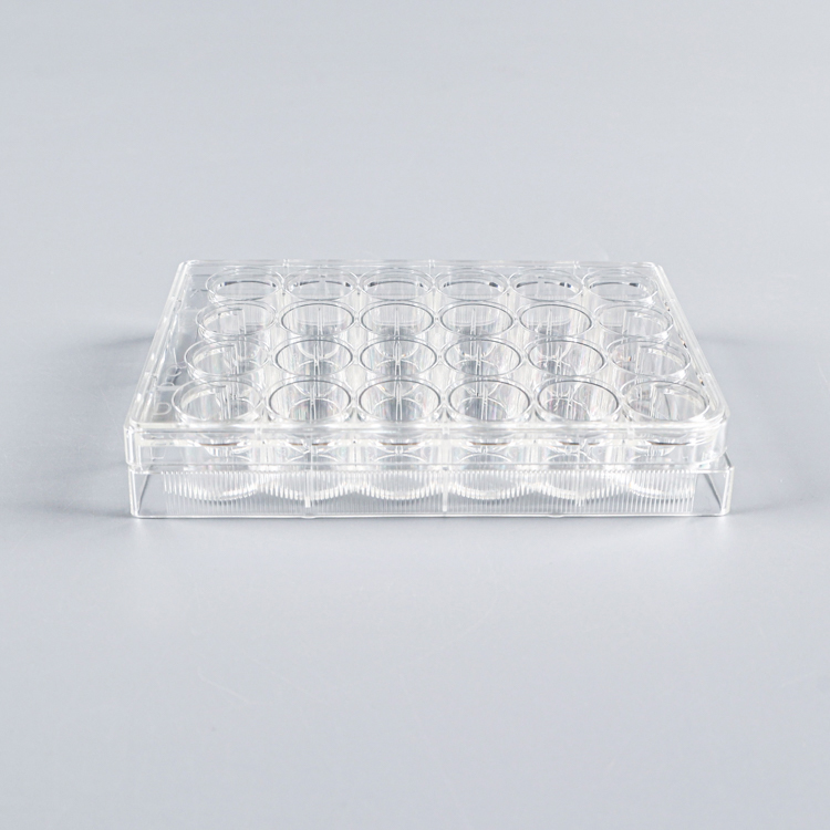 Cell Culture Plate Потребляемые вещества пластиковое Microplate 24 лаборатории плиты культуры клетки гаммы стерильные