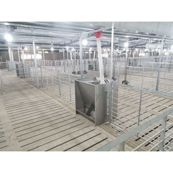 Maison personnalisée en acier léger, maison de volaille galvanisée