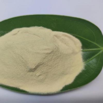 Organic Grass Fertilizer Amino Acid Powder 80% Bio Fertilizer For Fruits Vegetables