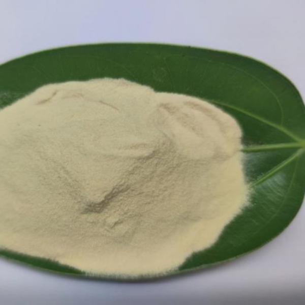 Organic Grass Fertilizer Amino Acid Powder 80% Bio Fertilizer For Fruits Vegetables
