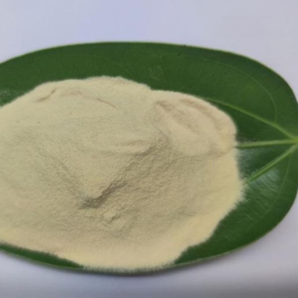 Pharmaceutical Grade 80% Purity Amino Acid Powder for Nutritional Supplement Applications