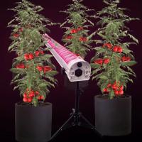 5-Year Warranty Customizable Dimmable Hydroponic Rack Deep Red Full Spectrum 4ft 120W/150W Under Canopy LED Grow Light for Bloom