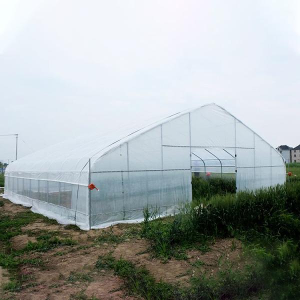 Farm Tunnel Polyethylene Film Greenhouse / Clear Plastic Greenhouse For Various Vegetables
