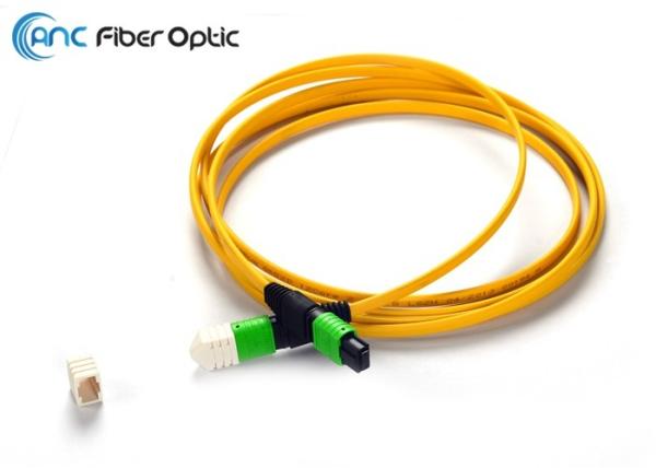 Ribbon Fiber Optic Cable Types SM OM3 12 Fiber MPO Female To MPO Female